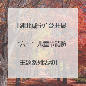 湖北咸宁广泛开展“六一”儿童节消防主题系列活动