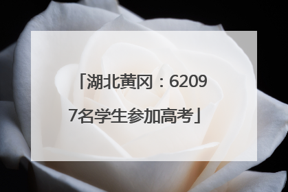 湖北黄冈：62097名学生参加高考