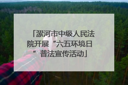 漯河市中级人民法院开展“六五环境日”普法宣传活动