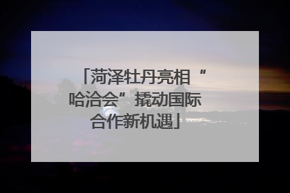 菏泽牡丹亮相“哈洽会”撬动国际合作新机遇