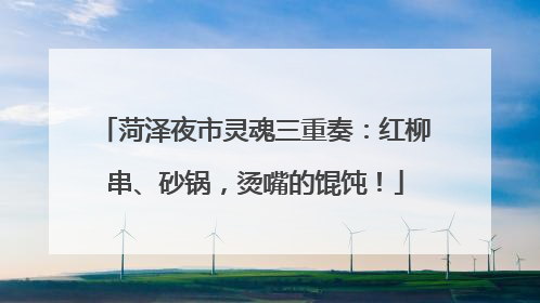 菏泽夜市灵魂三重奏：红柳串、砂锅，烫嘴的馄饨！
