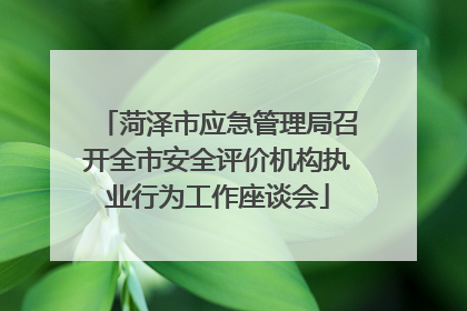 菏泽市应急管理局召开全市安全评价机构执业行为工作座谈会