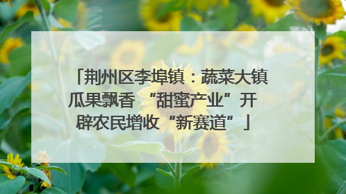 荆州区李埠镇：蔬菜大镇瓜果飘香 “甜蜜产业”开辟农民增收“新赛道”