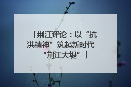 荆江评论：以“抗洪精神”筑起新时代“荆江大堤”