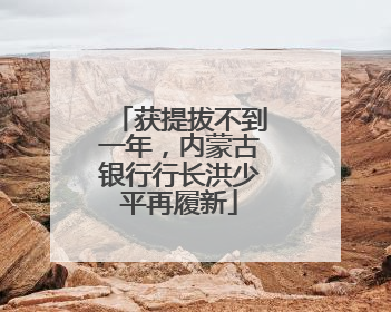 获提拔不到一年，内蒙古银行行长洪少平再履新