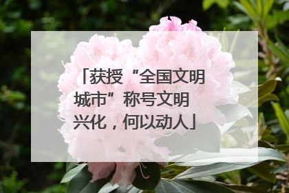 获授“全国文明城市”称号文明 兴化，何以动人