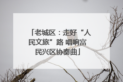 老城区：走好“人民文旅”路 唱响富民兴区协奏曲