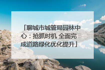 聊城市城管局园林中心：抢抓时机 全面完成道路绿化优化提升