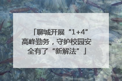 聊城开展“1+4”高峰勤务，守护校园安全有了“新解法”
