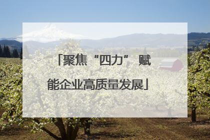 聚焦“四力” 赋能企业高质量发展
