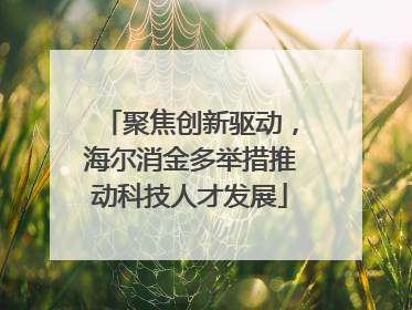 聚焦创新驱动，海尔消金多举措推动科技人才发展