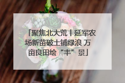 聚焦北大荒丨延军农场新苗破土铺绿浪 万亩良田绘“丰”景