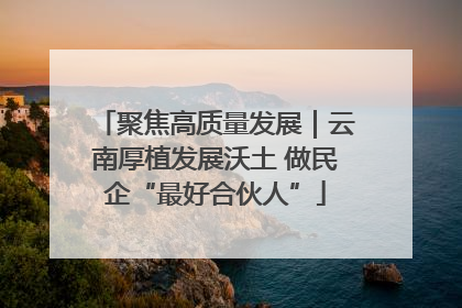 聚焦高质量发展｜云南厚植发展沃土 做民企“最好合伙人”