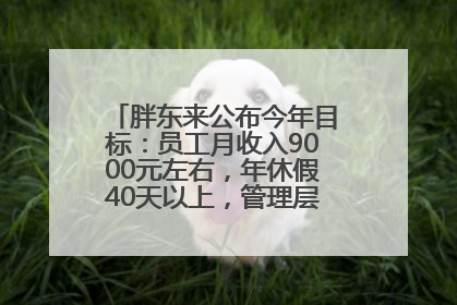 胖东来公布今年目标：员工月收入9000元左右，年休假40天以上，管理层人均分配70万元