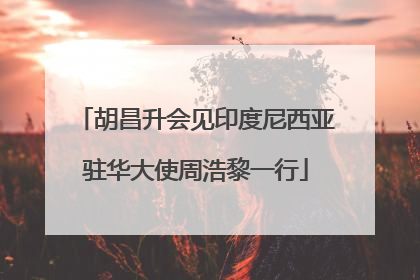 胡昌升会见印度尼西亚驻华大使周浩黎一行