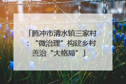 腾冲市清水镇三家村：“微治理”构建乡村善治“大格局”