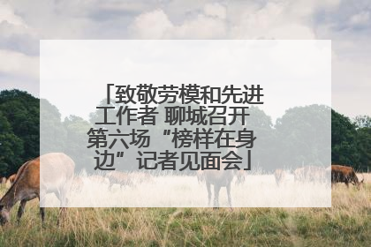 致敬劳模和先进工作者 聊城召开第六场“榜样在身边”记者见面会