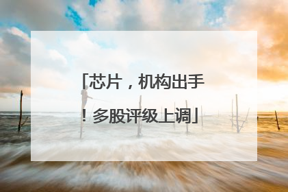 芯片，机构出手！多股评级上调