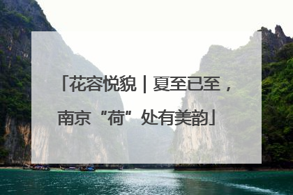 花容悦貌｜夏至已至，南京“荷”处有美韵