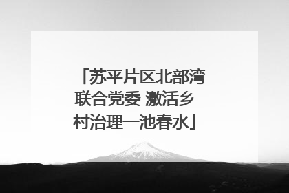 苏平片区北部湾联合党委 激活乡村治理一池春水