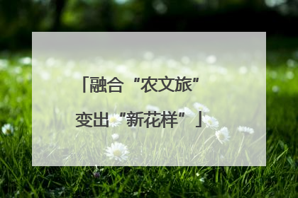 融合“农文旅” 变出“新花样”