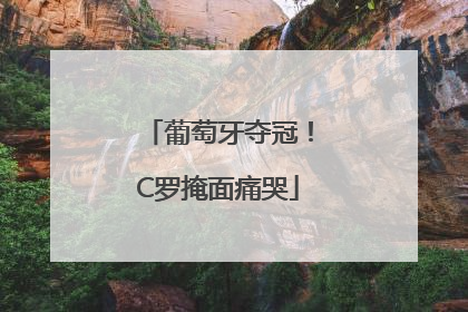 葡萄牙夺冠！C罗掩面痛哭