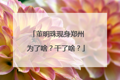 董明珠现身郑州 为了啥？干了啥？