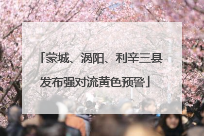 蒙城、涡阳、利辛三县发布强对流黄色预警