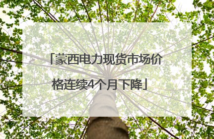 蒙西电力现货市场价格连续4个月下降