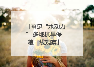 蓄足“水动力” 多地抗旱保粮一线观察