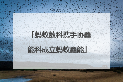 蚂蚁数科携手协鑫能科成立蚂蚁鑫能