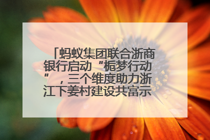 蚂蚁集团联合浙商银行启动“栀梦行动”，三个维度助力浙江下姜村建设共富示范区示范点