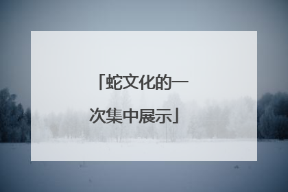 蛇文化的一次集中展示