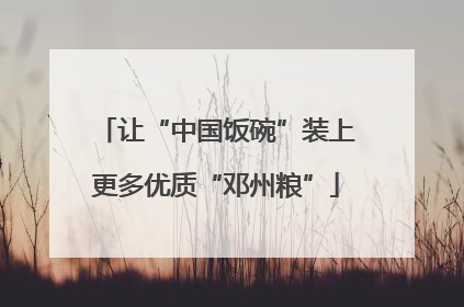 让“中国饭碗”装上更多优质“邓州粮”