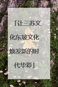 让三苏文化东坡文化焕发新的时代华彩