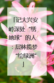 记大兴安岭深处“绣地球”的人：层林揽梦“绘绿洲”