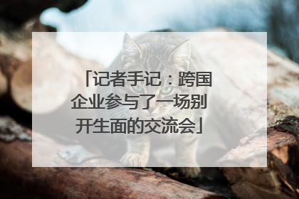 记者手记：跨国企业参与了一场别开生面的交流会