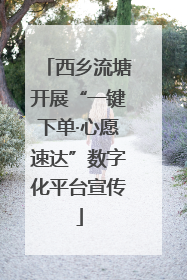 西乡流塘开展“一键下单·心愿速达”数字化平台宣传