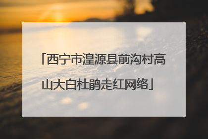 西宁市湟源县前沟村高山大白杜鹃走红网络