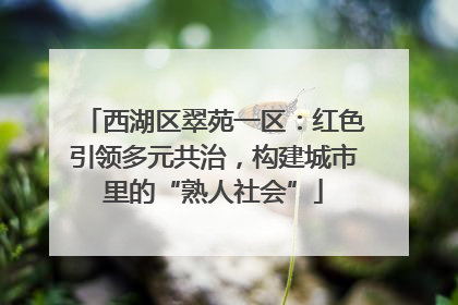 西湖区翠苑一区：红色引领多元共治，构建城市里的“熟人社会”