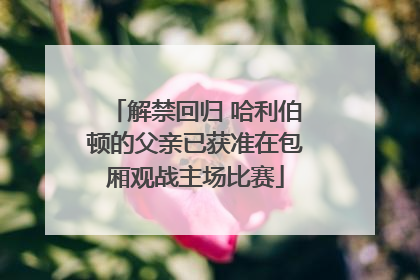 解禁回归 哈利伯顿的父亲已获准在包厢观战主场比赛
