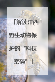 解读江西野生动物保护的“科技密码”