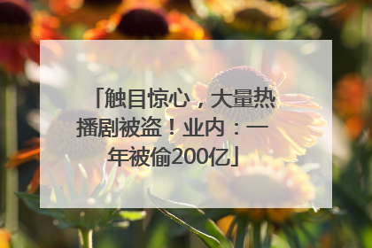 触目惊心，大量热播剧被盗！业内：一年被偷200亿