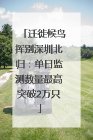 迁徙候鸟挥别深圳北归：单日监测数量最高突破2万只