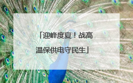 迎峰度夏！战高温保供电守民生