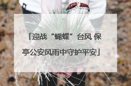 迎战“蝴蝶”台风 保亭公安风雨中守护平安