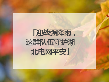 迎战强降雨，这群队伍守护湖北电网平安