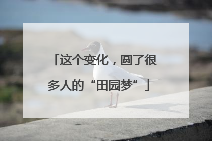 这个变化，圆了很多人的“田园梦”