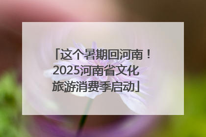 这个暑期回河南！2025河南省文化旅游消费季启动