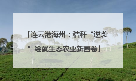 连云港海州：秸秆“逆袭”绘就生态农业新画卷